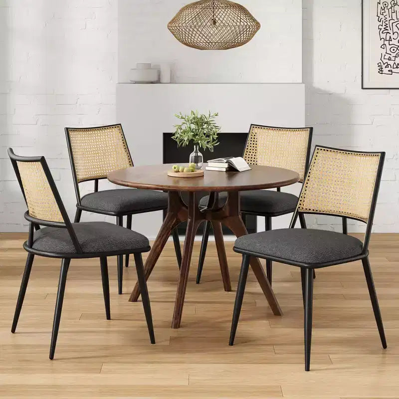 TUYOHW Lot de 2 chaises de salle à manger à cadre métallique avec dossier en rotin, chaises de cuisine et salle à manger Boucle avec pieds réglables pour salon